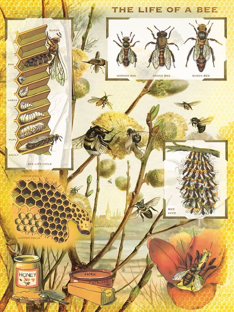 Bees & Honey - 1000 Piece Jigsaw Puzzle - Image 3