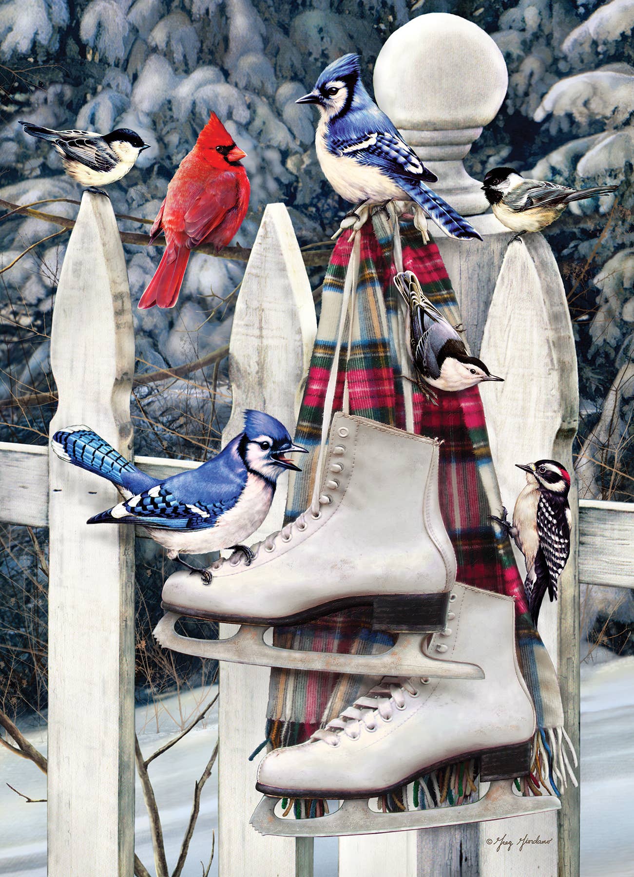 Birds with Skates 500pc puzzle - Image 2