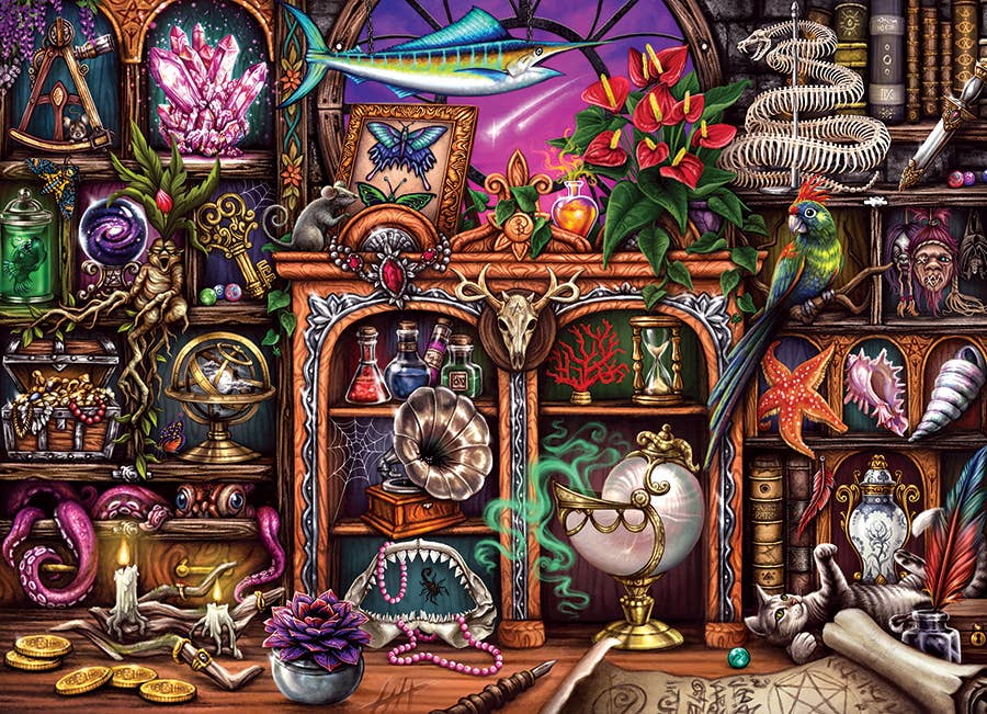 Cabinet of Curiosities 500pc puzzle - Image 2