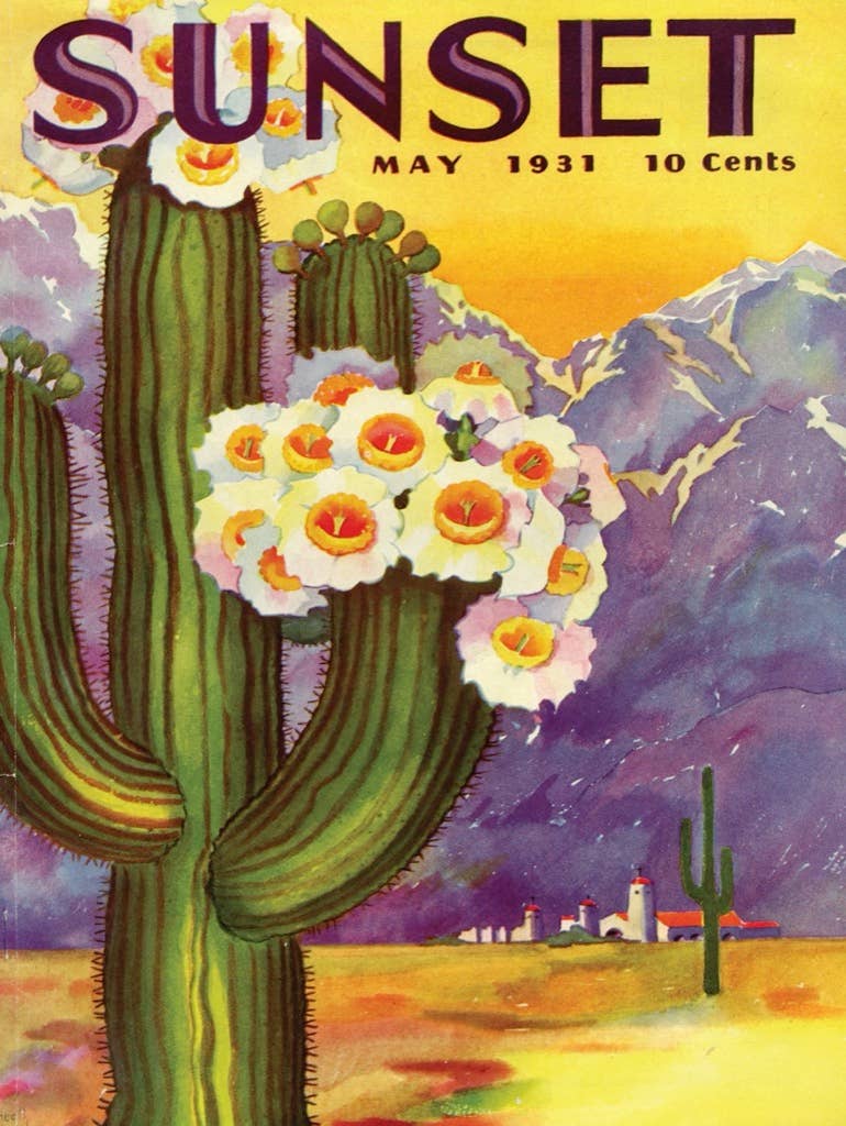 Cactus Blooms - 500 Piece Jigsaw Puzzle - Image 3