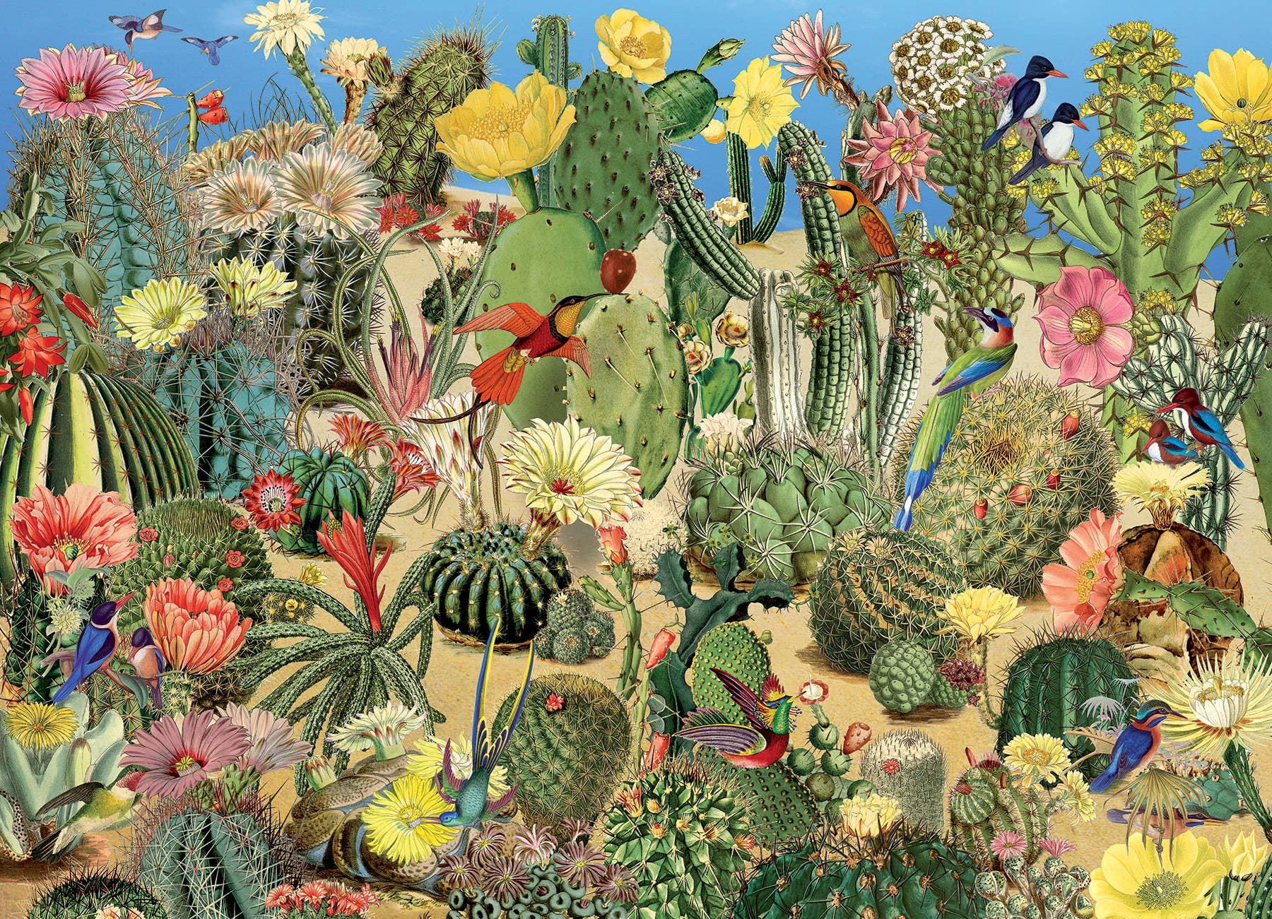 Cactus Garden 1000pc puzzle - Image 2