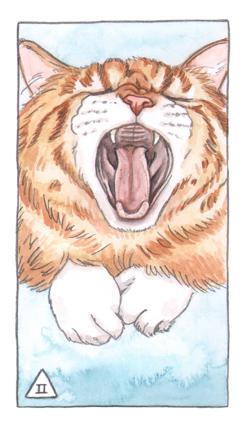 Cat Tarot - Image 4