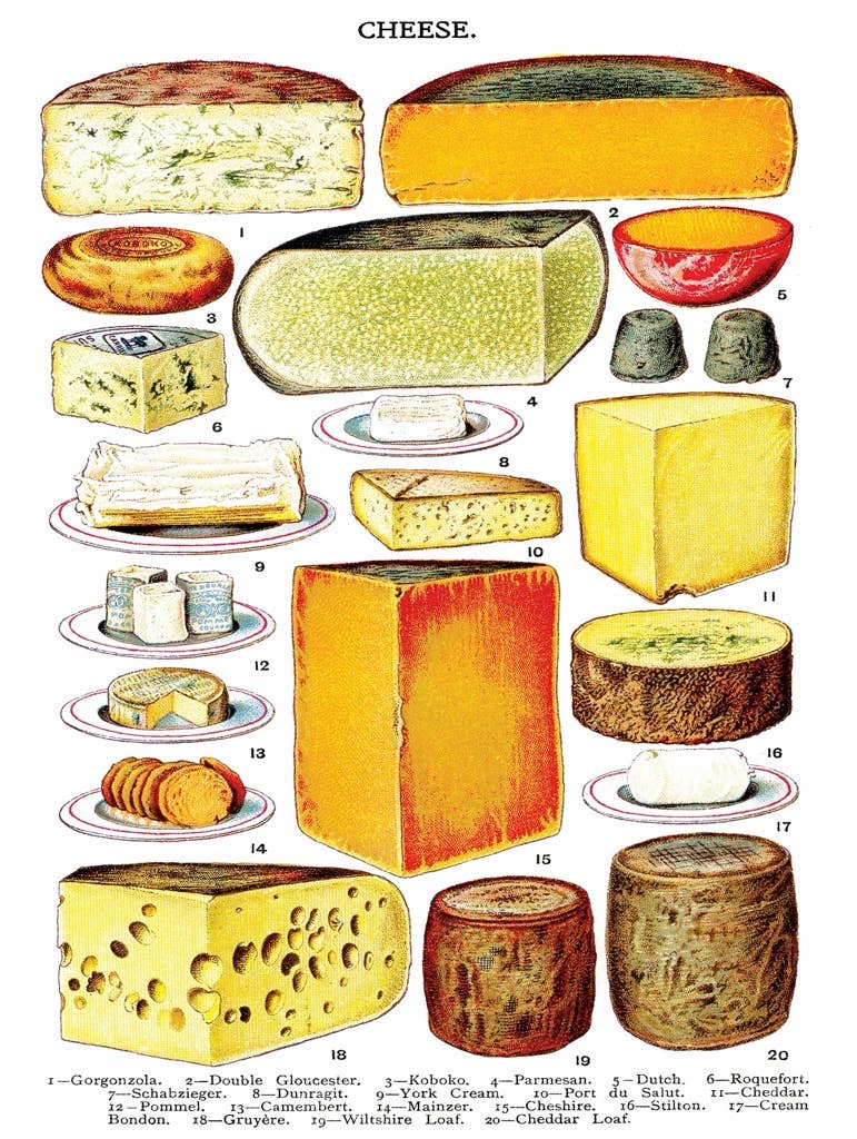 Cheese - 500 Piece Jigsaw Puzzle - Image 3