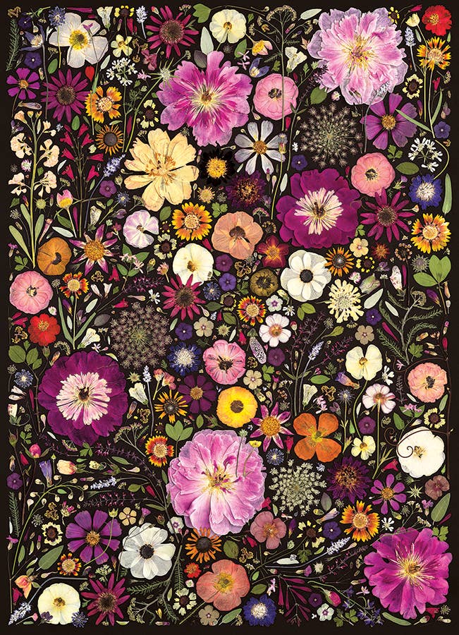 Flower Press: Little Hollow & Red Daisy 500pc puzzle - Image 2