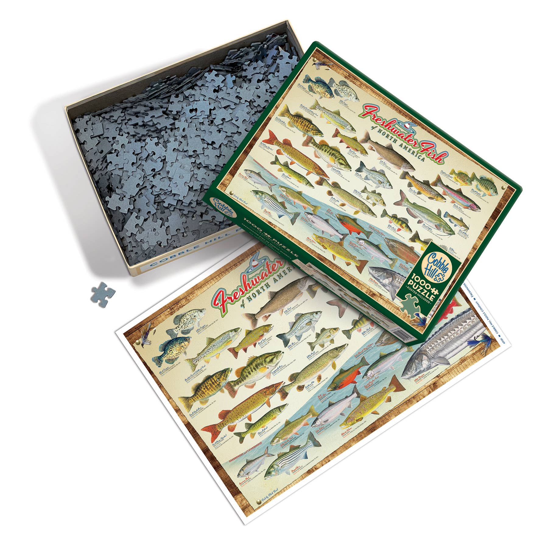 Freshwater Fish of North America 1000pc puzzle - Image 3