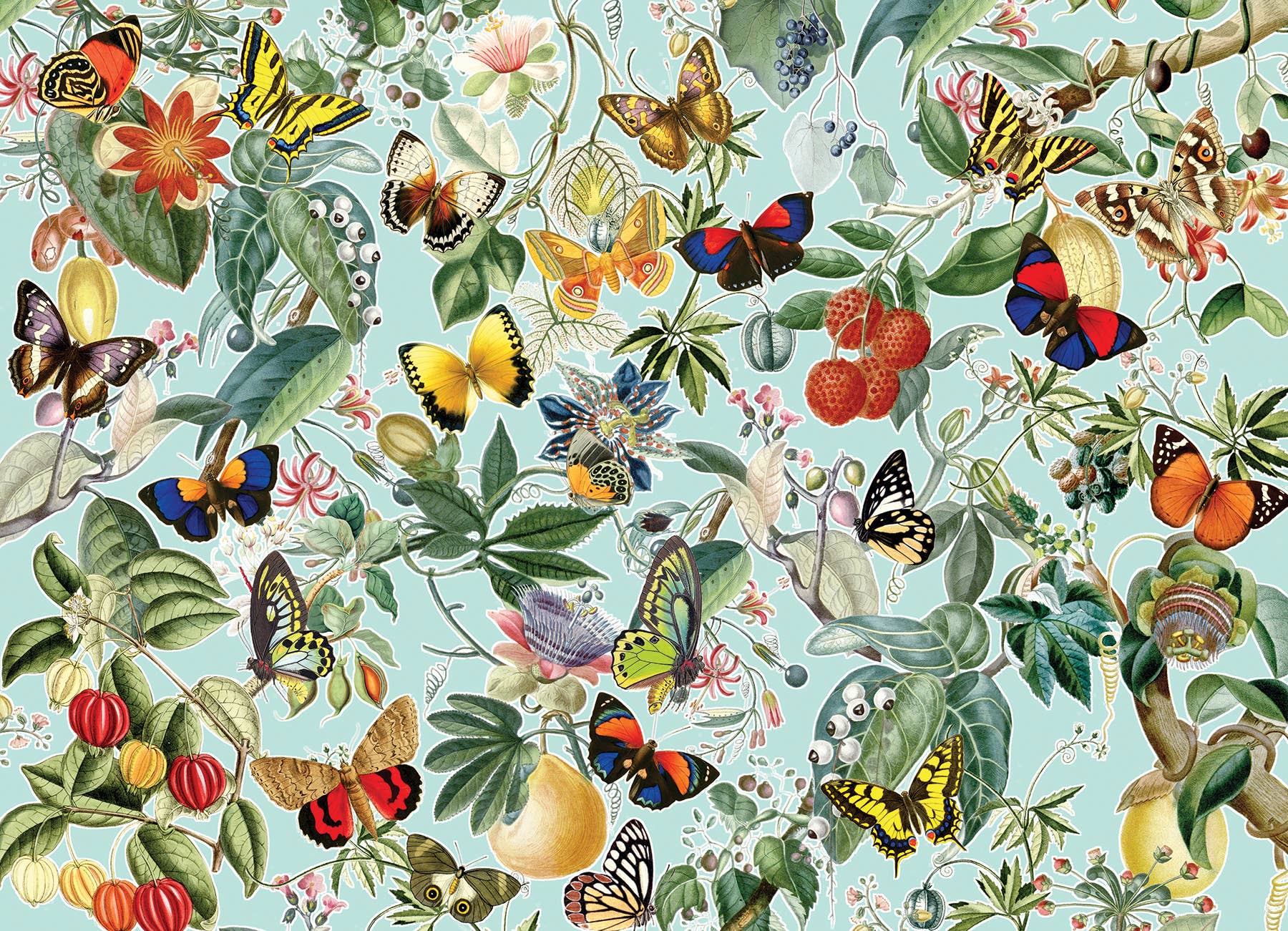 Fruit and Flutterbies 1000pc puzzle - Image 2
