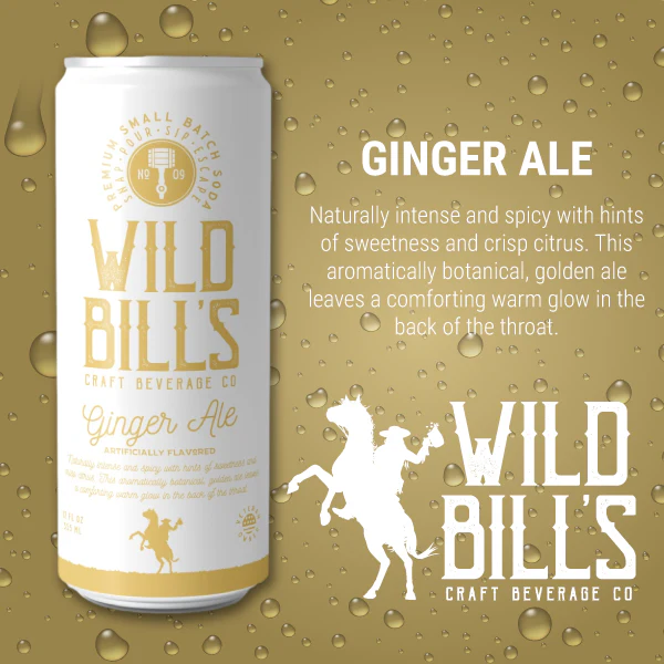 Ginger Ale - Premium Cane Sugar Soda, 12-Pack, Cans - Image 3