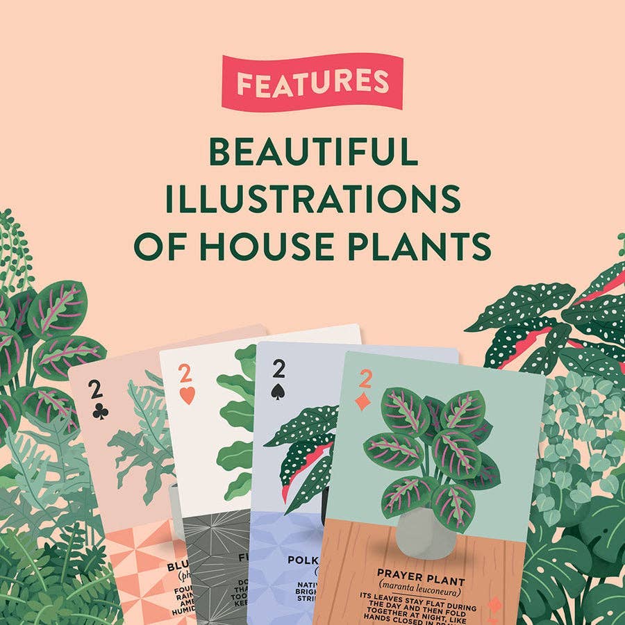 Houseplants Playing Cards - Image 4