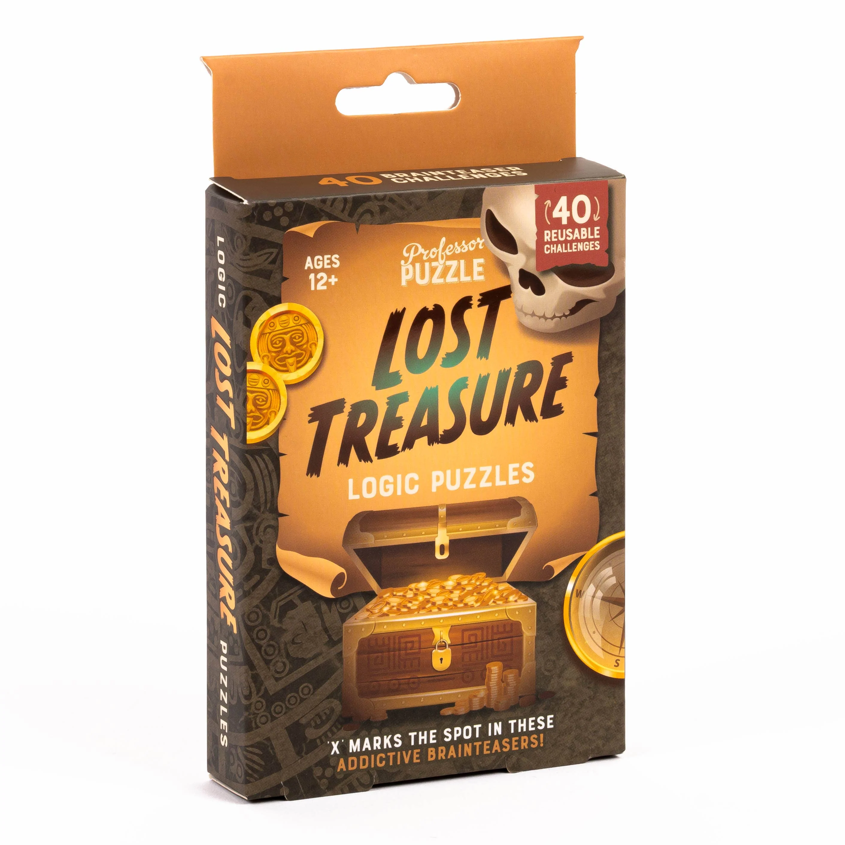 Lost Treasure Logic Puzzles (D.8) - Image 2