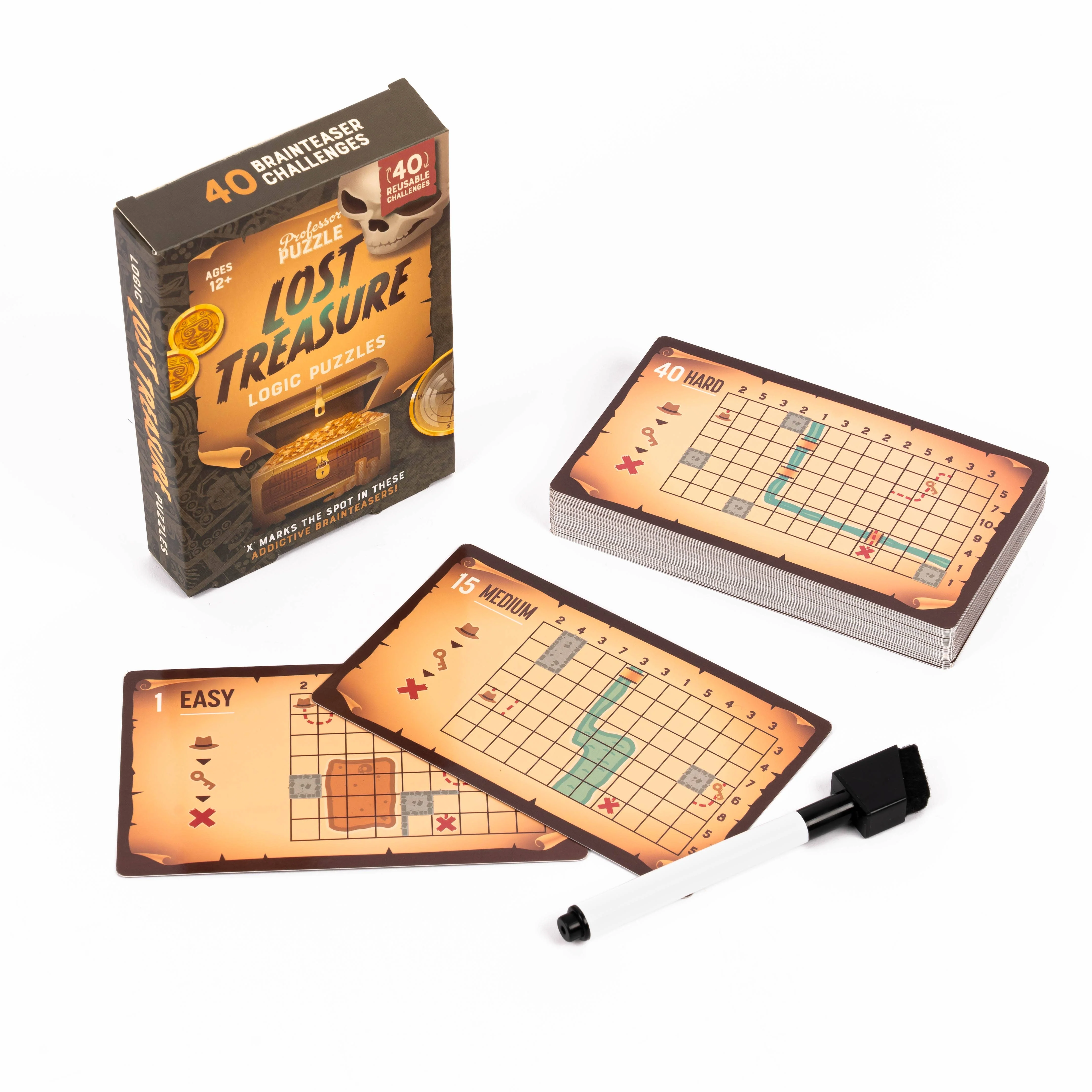 Lost Treasure Logic Puzzles (D.8) - Image 4