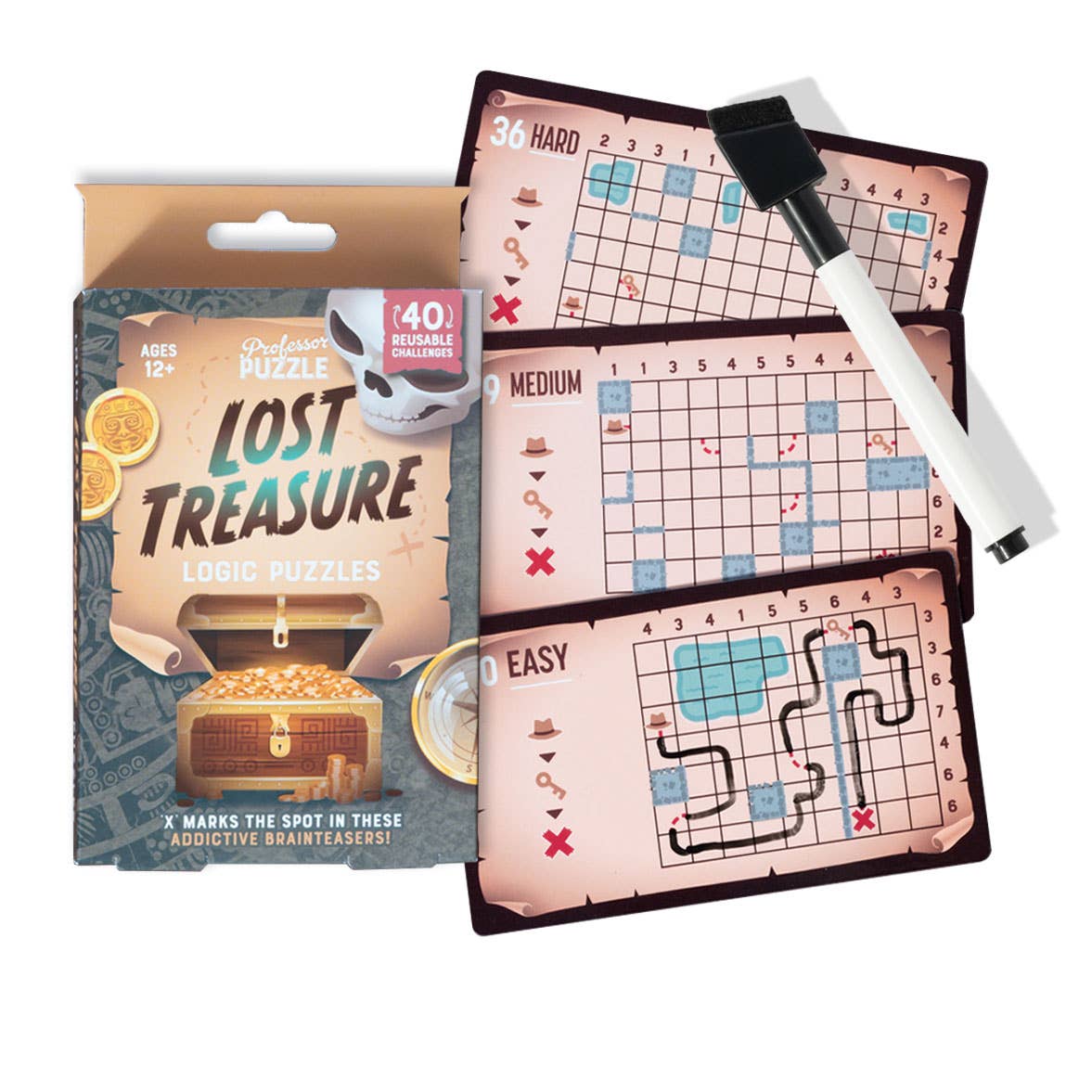 Lost Treasure Logic Puzzles (D.8) - Image 5