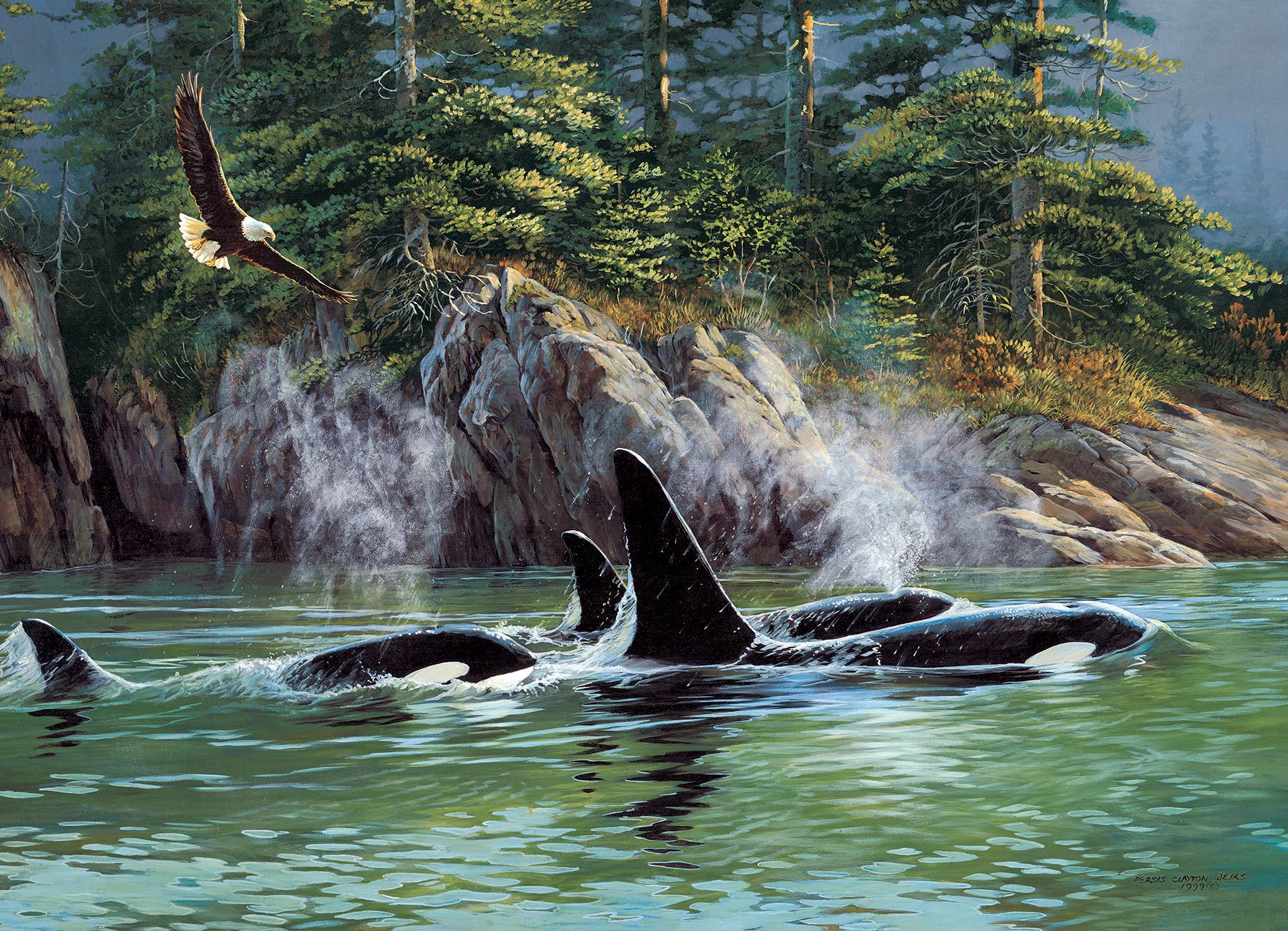 Orcas 1000pc puzzle - Image 2