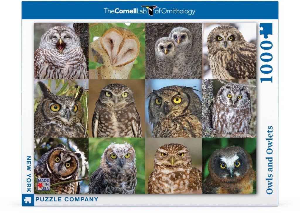 Owls and Owlets - 1000 Piece Jigsaw Puzzle - Image 2
