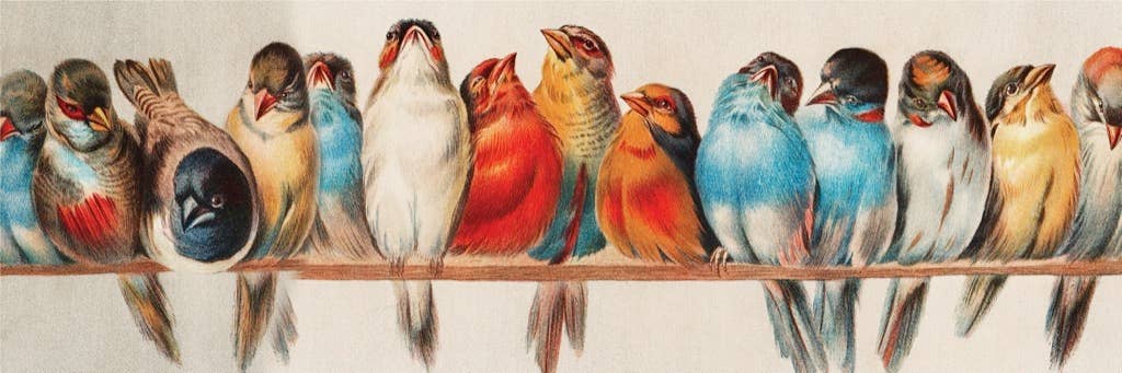Perch - 1000 Piece Jigsaw Puzzle - Image 3