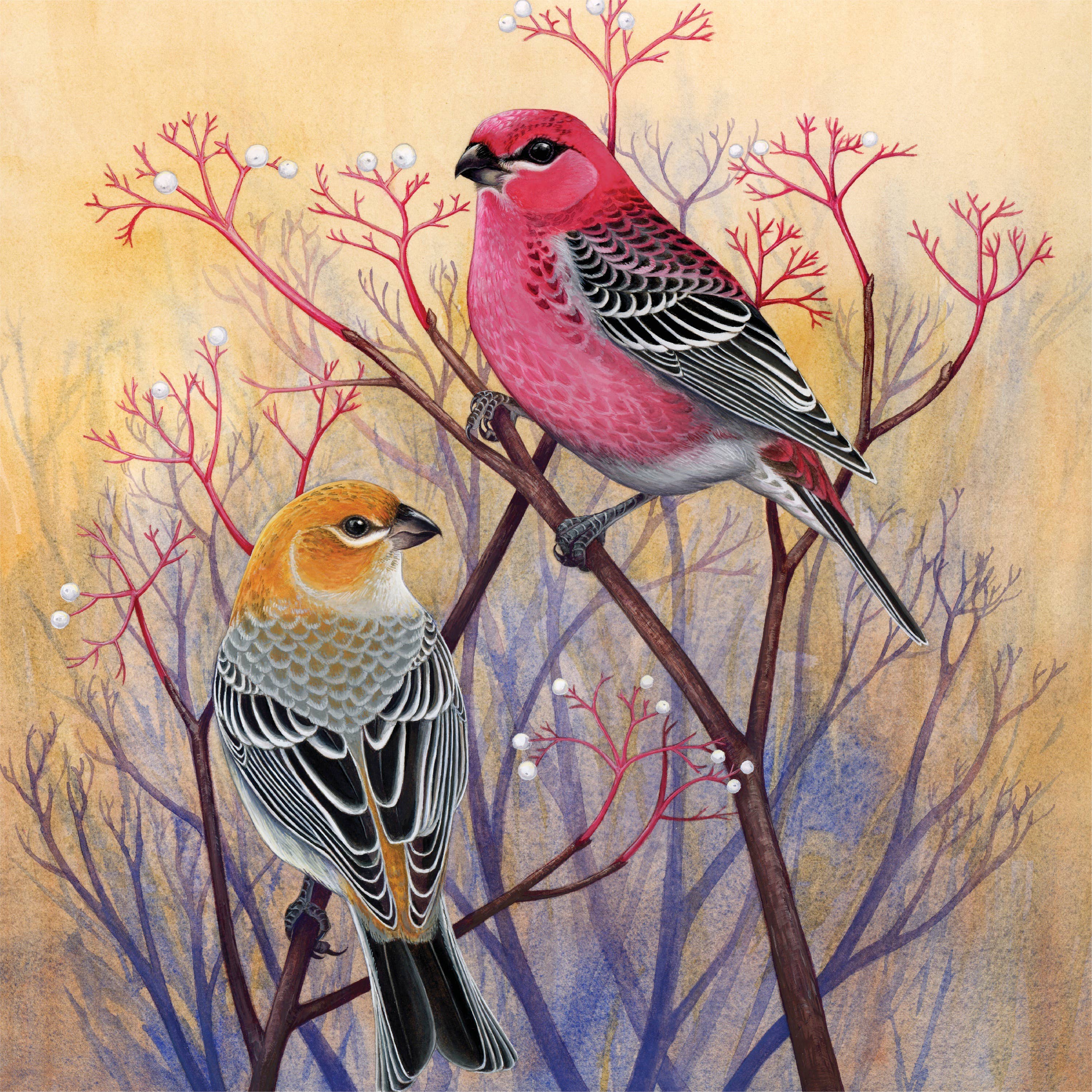 Pine Grosbeaks - 500 Piece Jigsaw Puzzle - Image 3