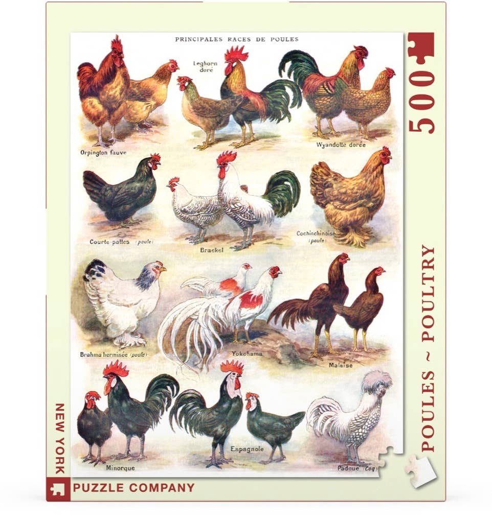 Poules ~ Poultry - 500 Piece Jigsaw Puzzle - Image 2