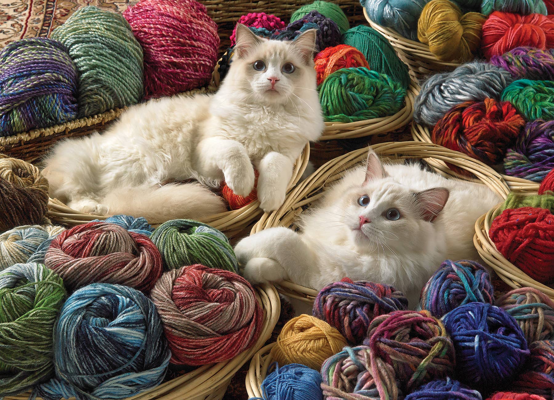 Ragdolls 1000pc puzzle - Image 2