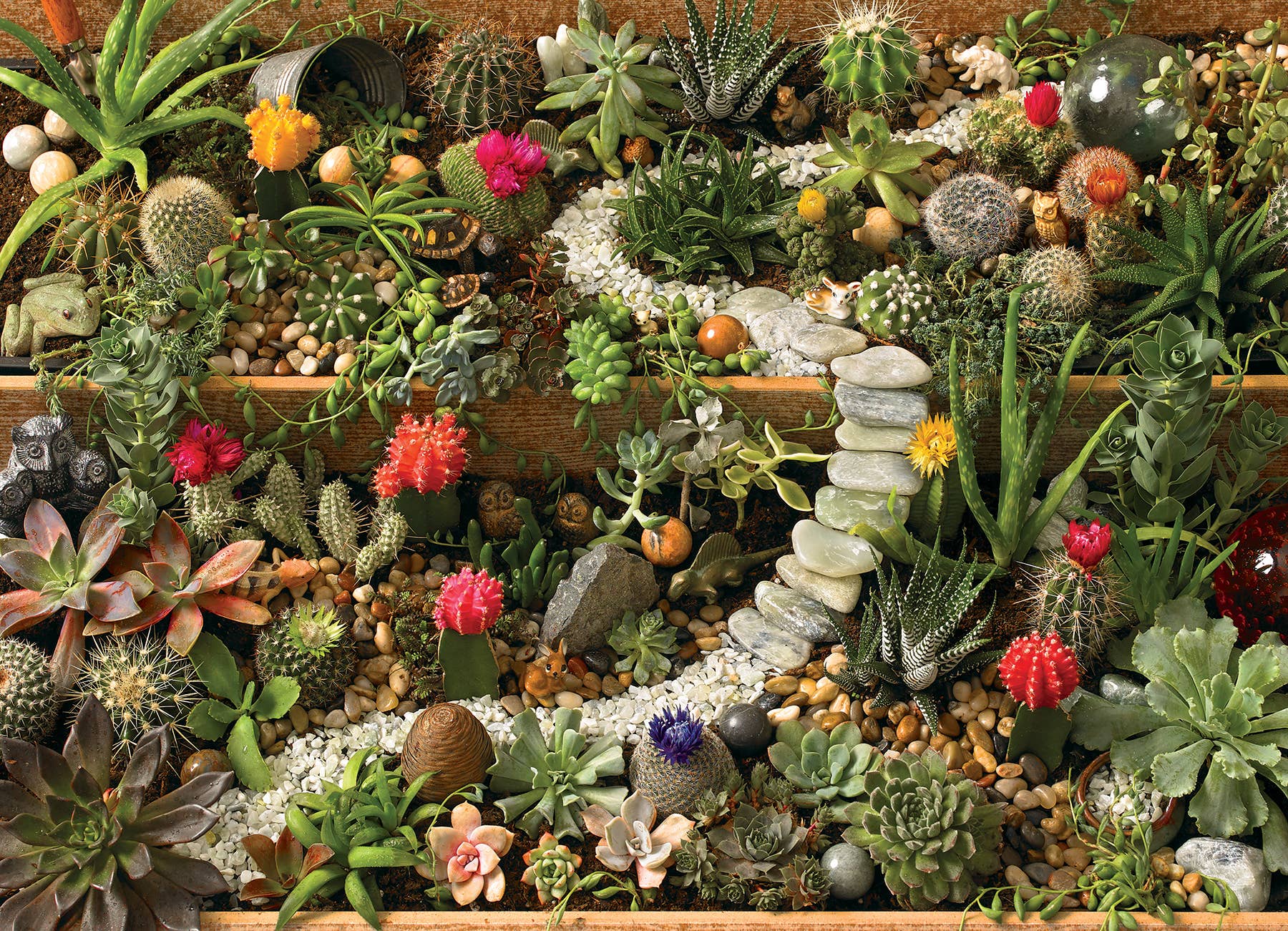 Succulent Garden 1000pc puzzle - Image 2