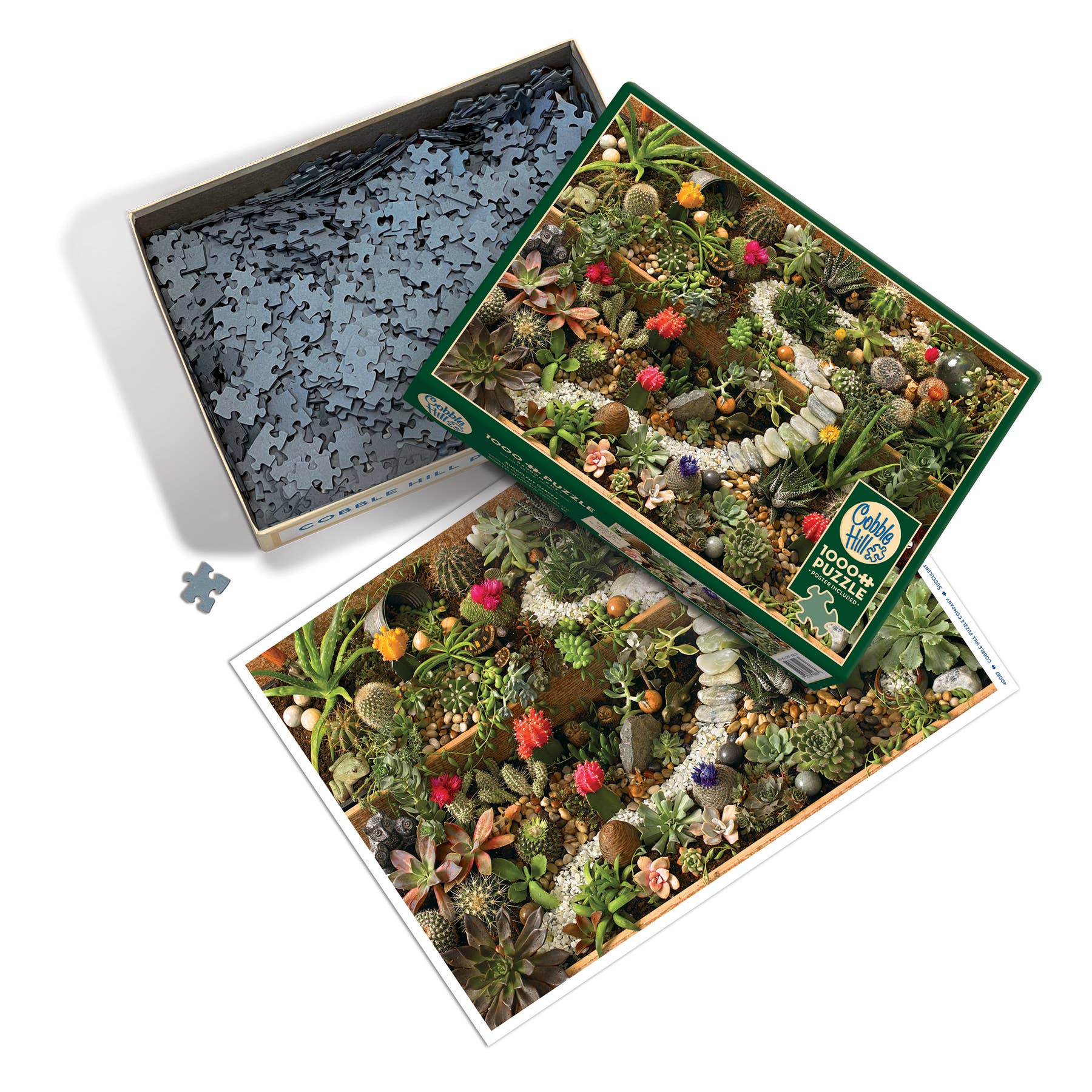 Succulent Garden 1000pc puzzle - Image 3