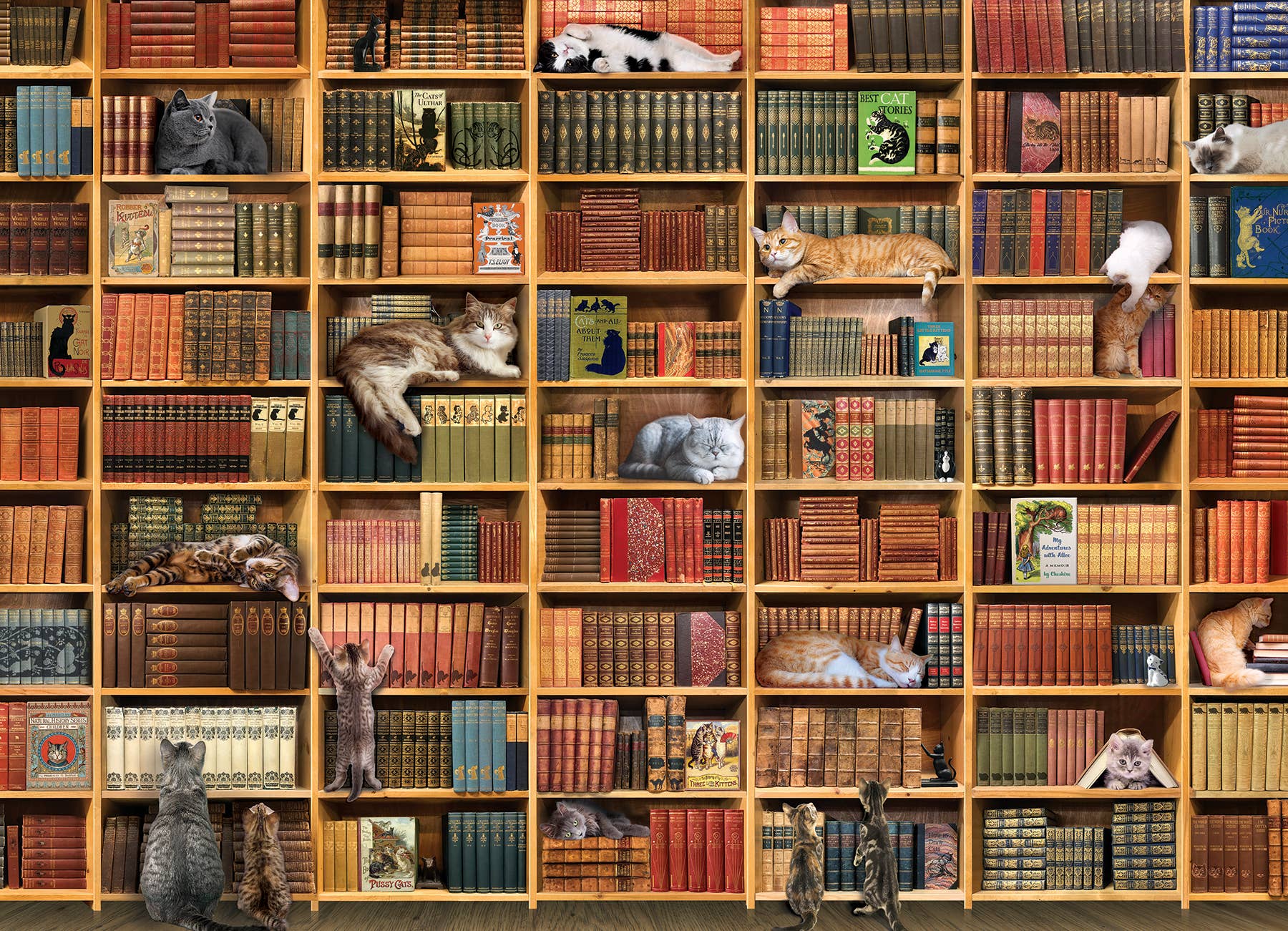 The Cat Library 1000pc puzzle - Image 2