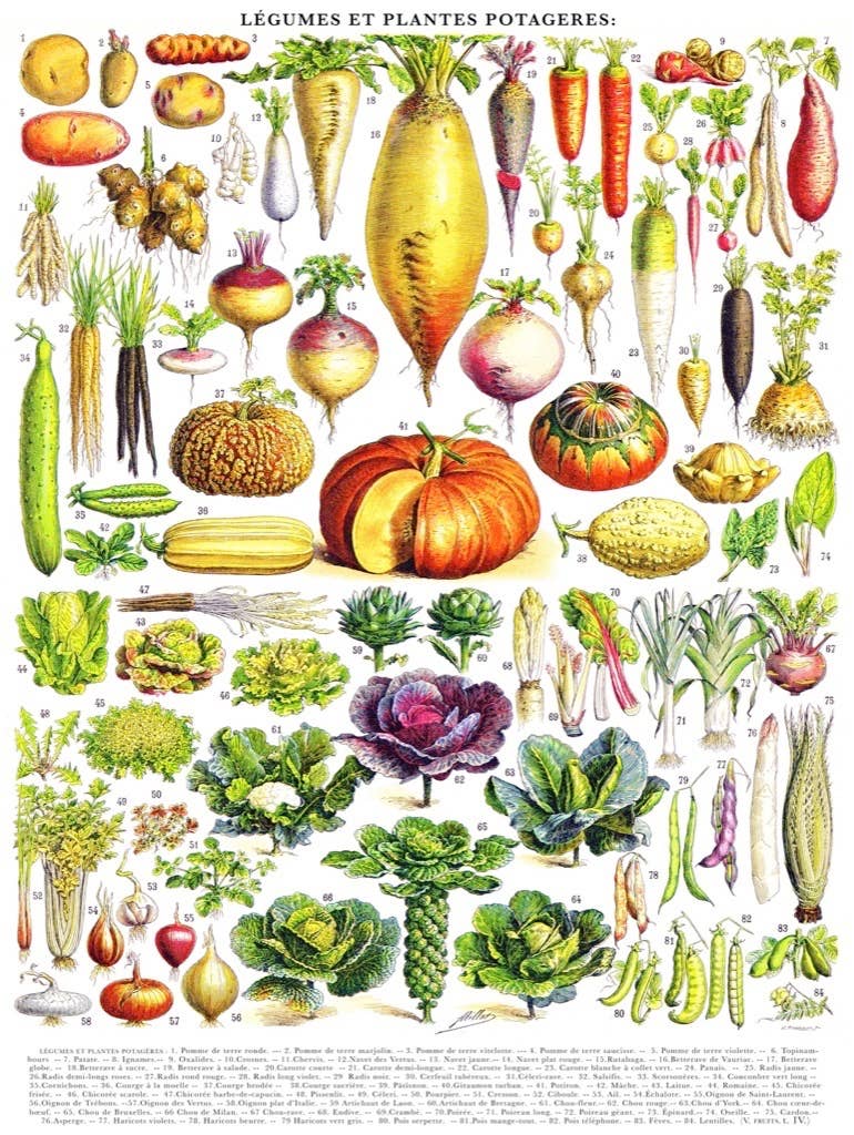 Vegetables ~ Légumes - 1000 Piece Jigsaw Puzzle - Image 3