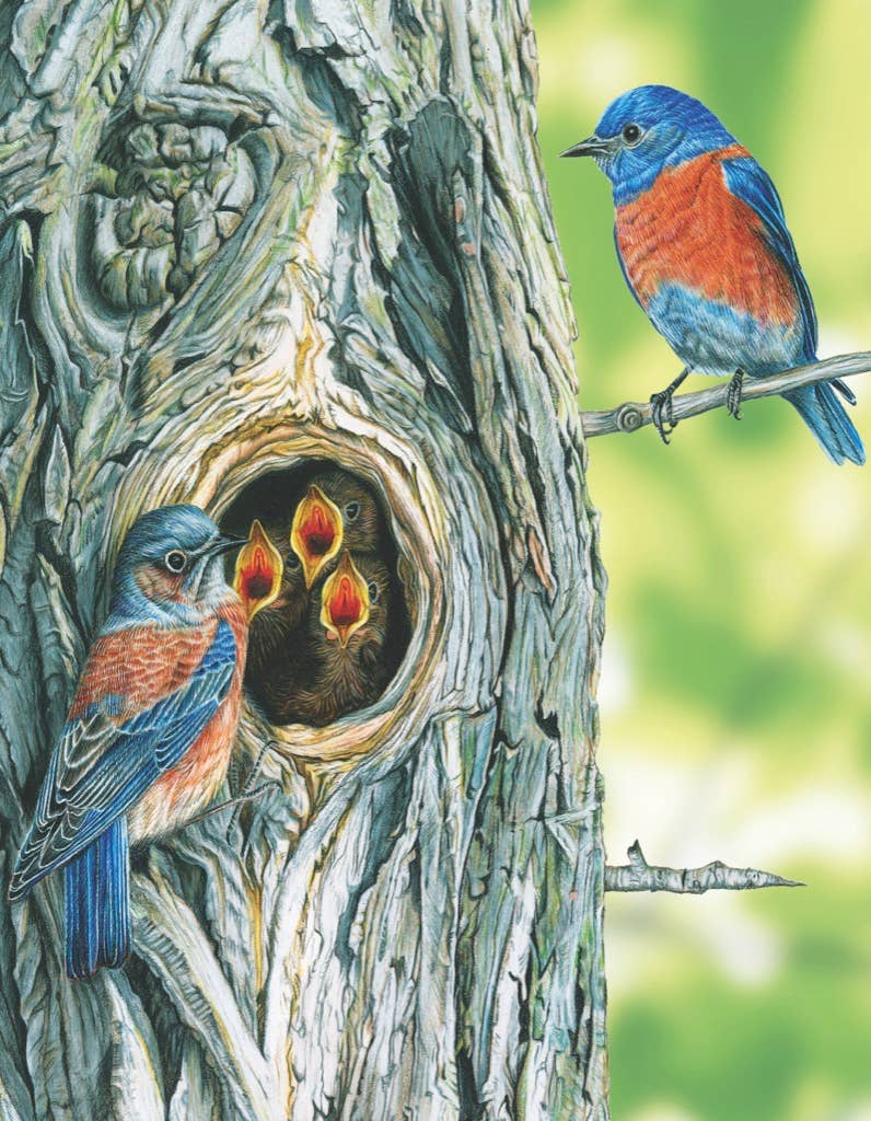 Western Bluebird Mini - 100 Piece Mini Puzzle - Image 3